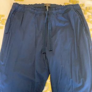 Jaanuu Navy scrub pant